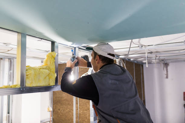 Best Insulation Repair Services  in Osage City, KS