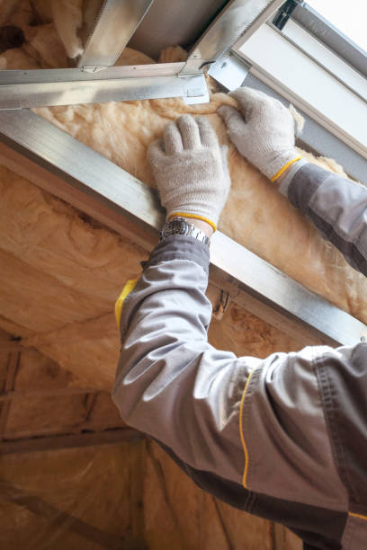 Best Blown-in Insulation  in Osage City, KS