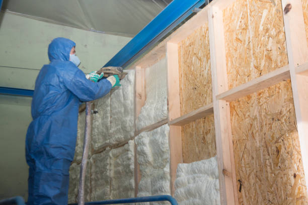 Best Commercial Insulation Contractor  in Osage City, KS